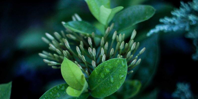 北京天气47℃?深度解析北京温度特点与最新天气资讯