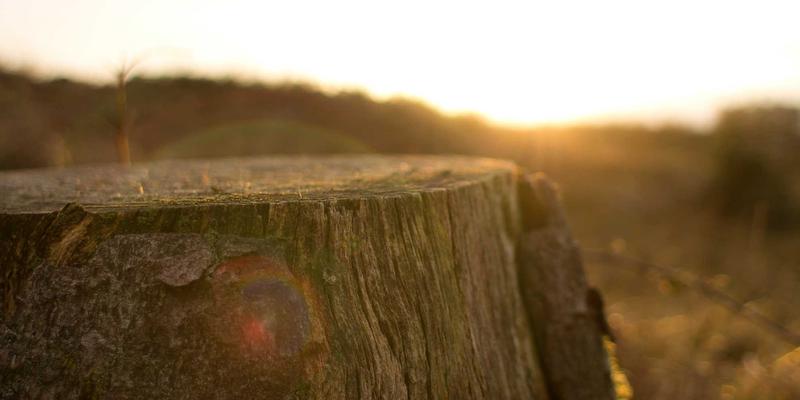 北京天气71:一份融合历史与当下的京城生活气象指南