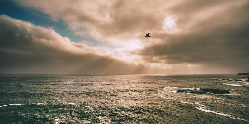 北京春季沙尘天气全攻略：从温度变化到城市服务，您的防护指南