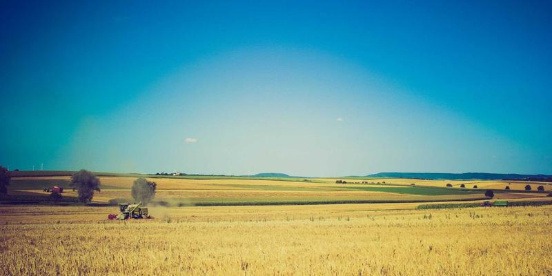 北京春季赏花全攻略：精准天气预报与最佳出行时间解析