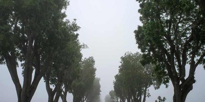 北京生活资讯：揭秘银杏黄金大道观赏气象指数，温度与风速如何影响落叶节奏