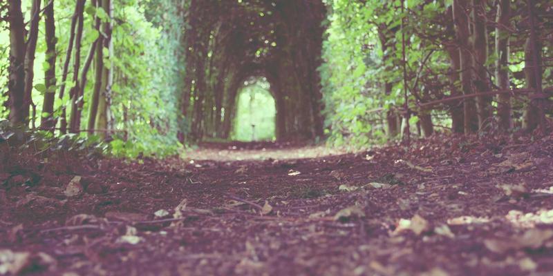 北京秋季红叶观赏指数全指南：温度变化与最佳拍摄天气条件解析