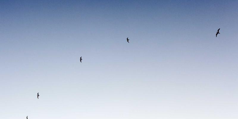 北京马拉松赛事期间历史天气分析与参赛建议：城市服务与天气资讯全解读